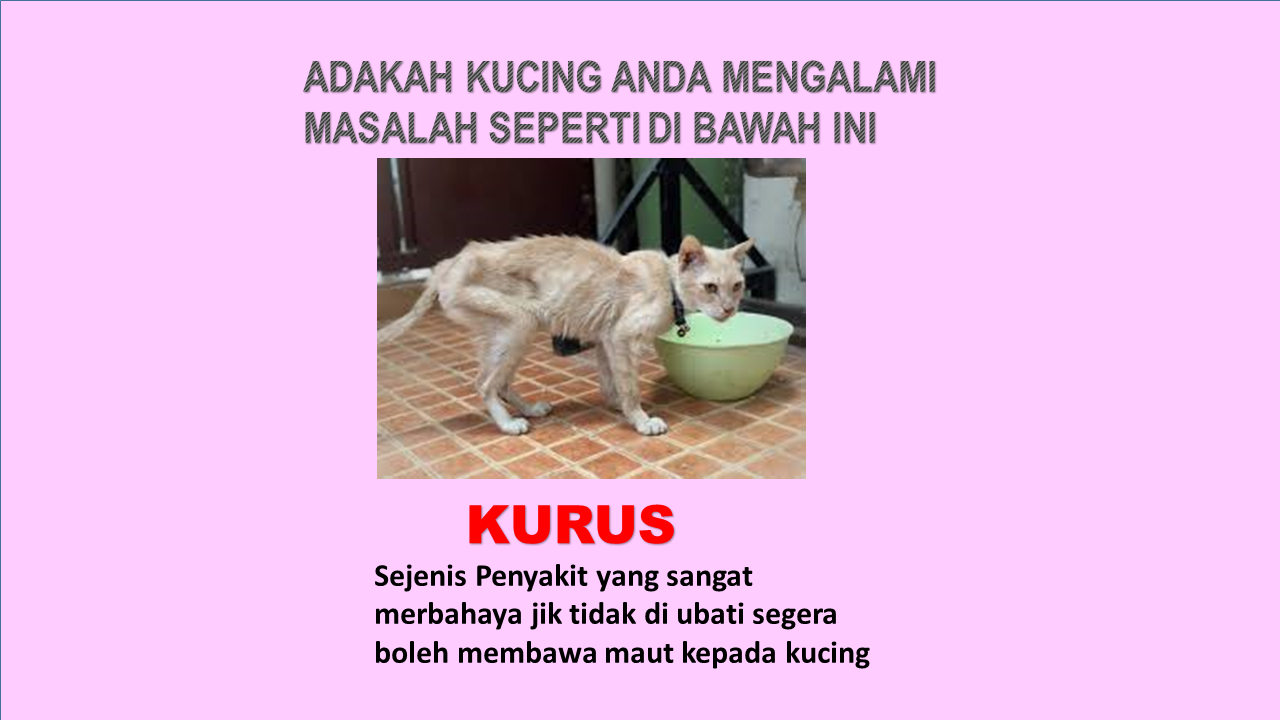 Set Penjagaan Kesihatan Kucing